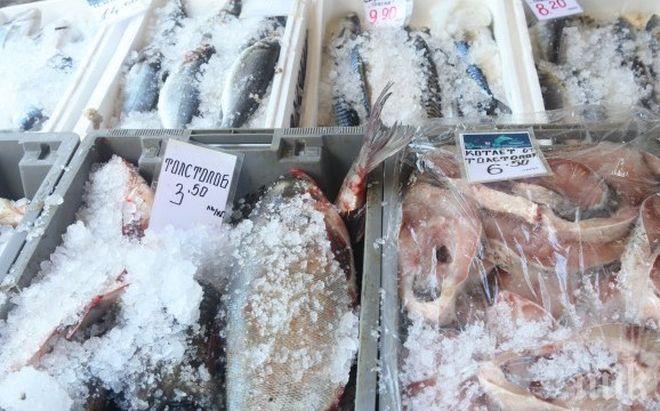 Цената на черноморската на рибната във пада броени дни преди