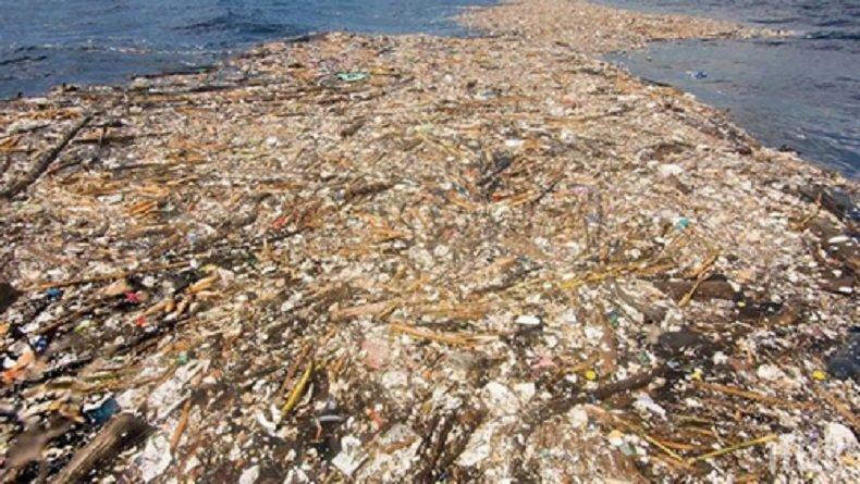 Тонове боклуци съсипаха райските плажове в столицата на Доминиканската република