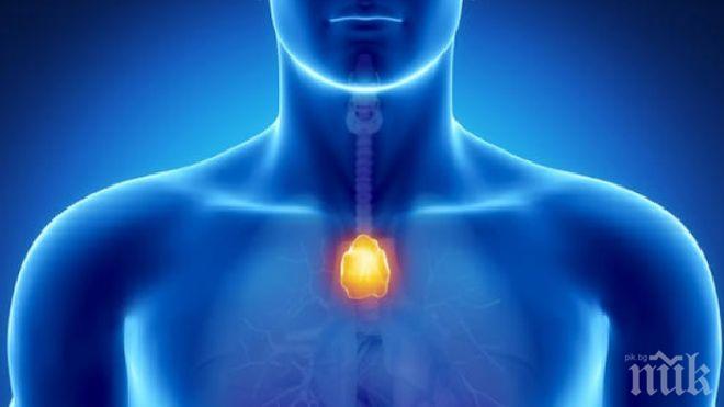ВАЖНО! 10 признака за проблеми с щитовидната жлеза