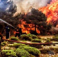 Бедствие! Над 2 000 къщи са пострадали от пожарите в Гърция
