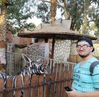 Собствениците на зоопарк боядисаха магарета на райета, показват ги като зебри
