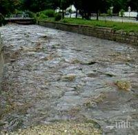 МИСТЕРИЯ! Уловиха риба-чудовище край Пловдив (СНИМКИ)