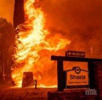 1700 огнеборци гасят горските пожари в Калифорния, вече има жертви (ВИДЕО)