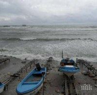 Нови експерти ще следят рибата в Черно море