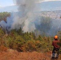 ОГНЕН АД! Огромни пожари бушуват в северните части на Канада