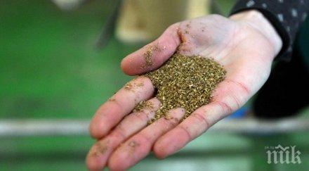 токсично жена отрови билков чай аптека софия