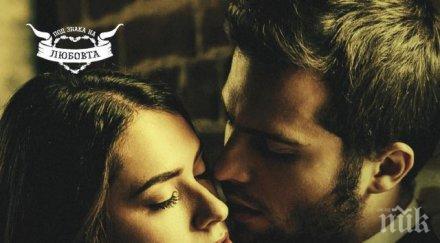 заплетена интрига пламенна страст романа прелъстителят