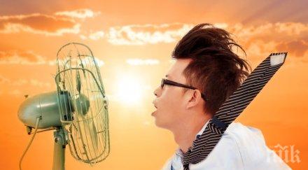 жегата япония продължава взима жертви