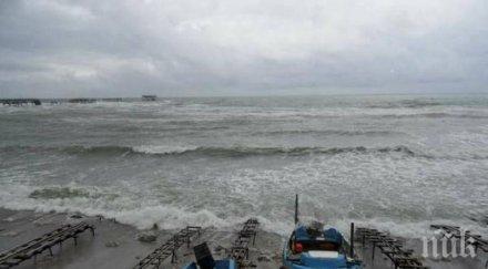 експерти следят рибата черно море