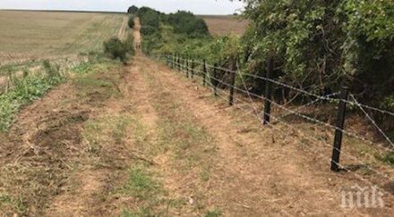 полша строи ограда източната граница заради чумата свинете