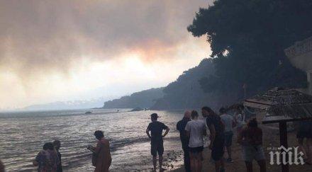 създадоха сайт вписват изчезналите пожарите гърция