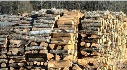 опашки дърва списъците запълнени септември