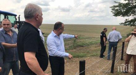 телената ограда спъваме дивите прасета румъния снимки