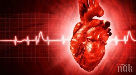 умбал екатерина нов метод лечение сърдечни аритмии