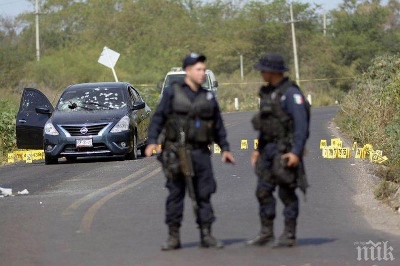 Черен рекорд в Мексико! Над 11 000 убийства, свързани с наркотрафика, за половин година