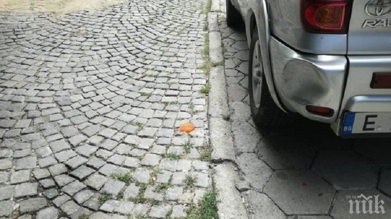 ТРАГЕДИЯ! Блъснатото в Сандански 6-годишно дете е много зле, оперират го (ОБНОВЕНА)