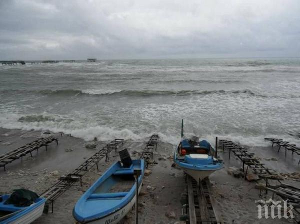 Нови експерти ще следят рибата в Черно море