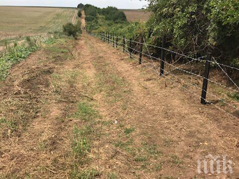 Полша няма да да строи ограда по източната си граница заради чумата по свинете