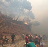 Идентифицираха 70 тела на жертви на пожарите в Гърция