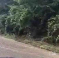 Трагедия! Мъж се удави край Тетевен