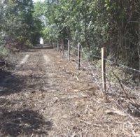 Горски дават нощни дежурства, за да спрат миграцията на диви свине