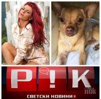 САМО В ПИК TV! Свиреп инцидент с кучето на певицата със 