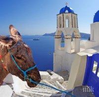 Магаретата на остров Санторини получиха специална защита