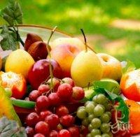 Плодове – по кое време да ги ядем?
