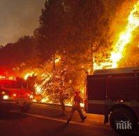 Пожарите в Калифорния продължават да вземат жертви
