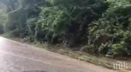 трагедия мъж удави тетевен