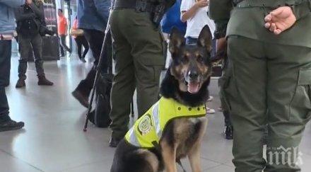 наркотрафиканти колумбия обявиха награда 000 долара главата полицейско куче