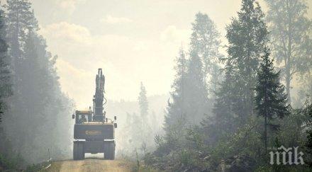 дъжд помогна швеция потушаването горските пожари
