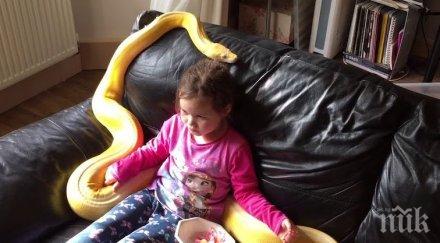 шокиращо годишно момиченце необикновен домашен любимец вижте видео