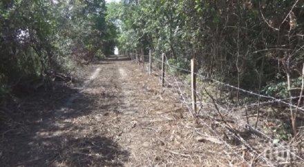 горски дават нощни дежурства спрат миграцията диви свине