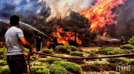 трагедията расте броят жертвите пожарите гърция достигна души