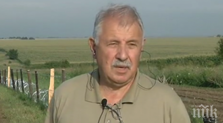 уникум слагат вълчата урина румънските глигани тарелки оградата