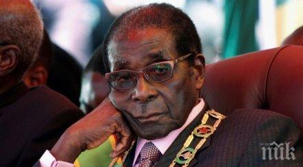 бившият президент зимбабве отрече партията