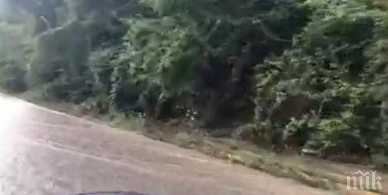 Трагедия! Мъж се удави край Тетевен