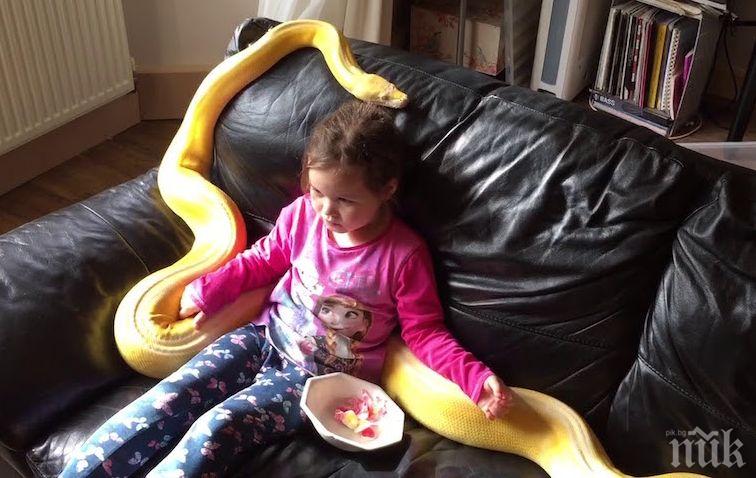 ШОКИРАЩО! Това 5-годишно момиченце има необикновен домашен любимец! Вижте го (ВИДЕО) 