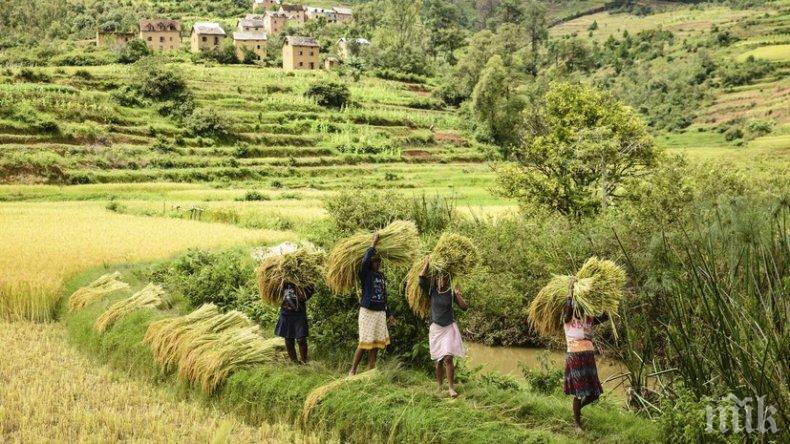  В ЮАР ще могат да конфискуват земя без право на компенсация