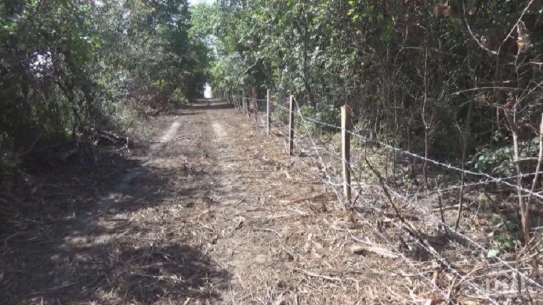 Горски дават нощни дежурства, за да спрат миграцията на диви свине