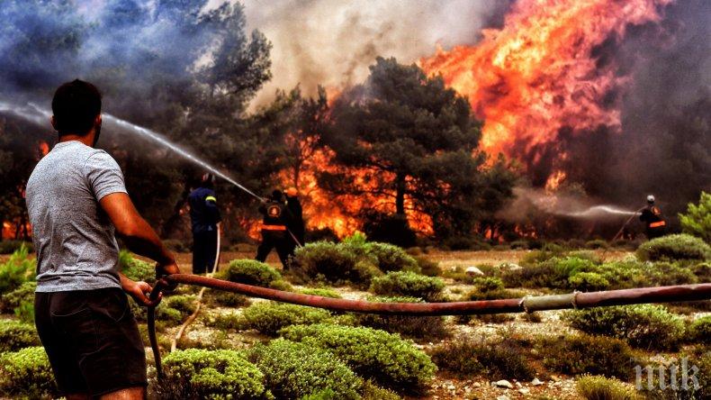 Шефът на гръцката опозиция иска оставки заради пожарите