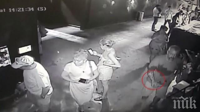 Апаши задигнаха жива акула от аквариум в Тексас