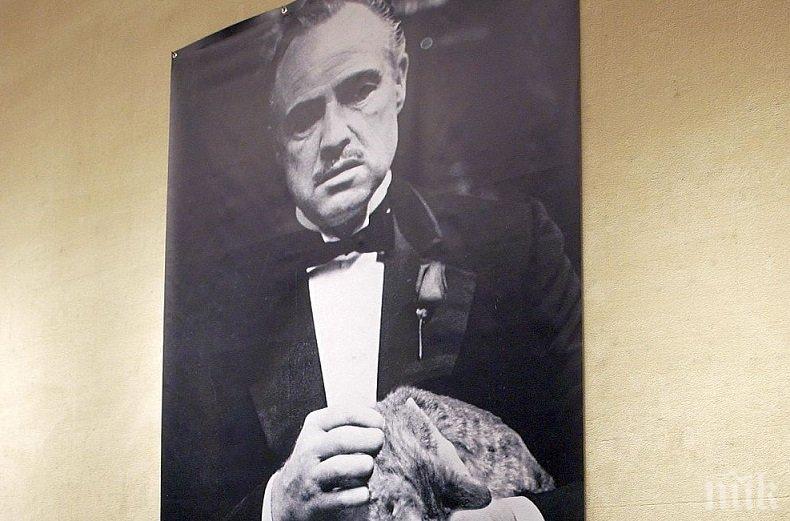 ГАРАНТИРАНО! Учени разгадаха формулата за успешен касов филм