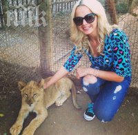 Без страх! Фолкдива сред лъвовете в Африка