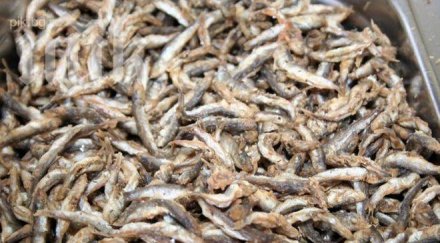 цацата скача двойно гони петарка кръчмите