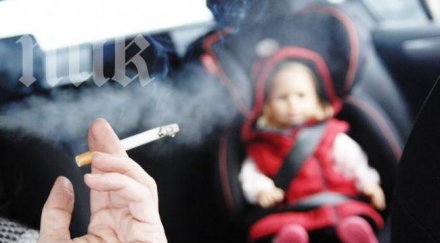 референдум реши пуши