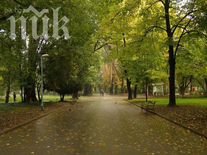 Времето утре – същото като днес