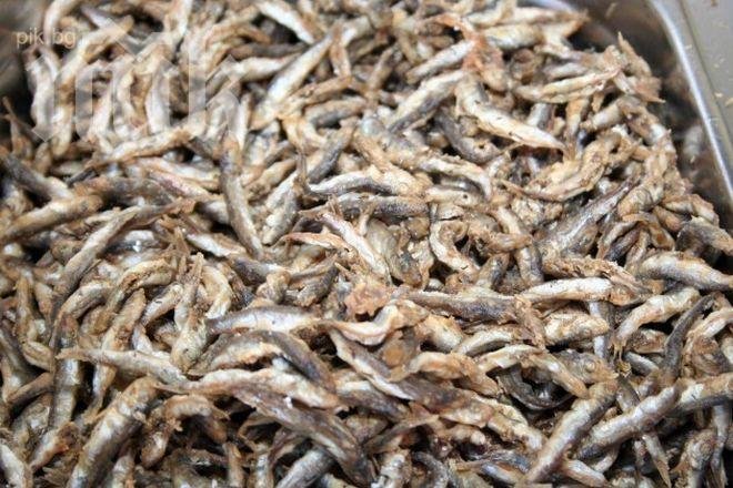 Цацата скача двойно, гони петарка по кръчмите