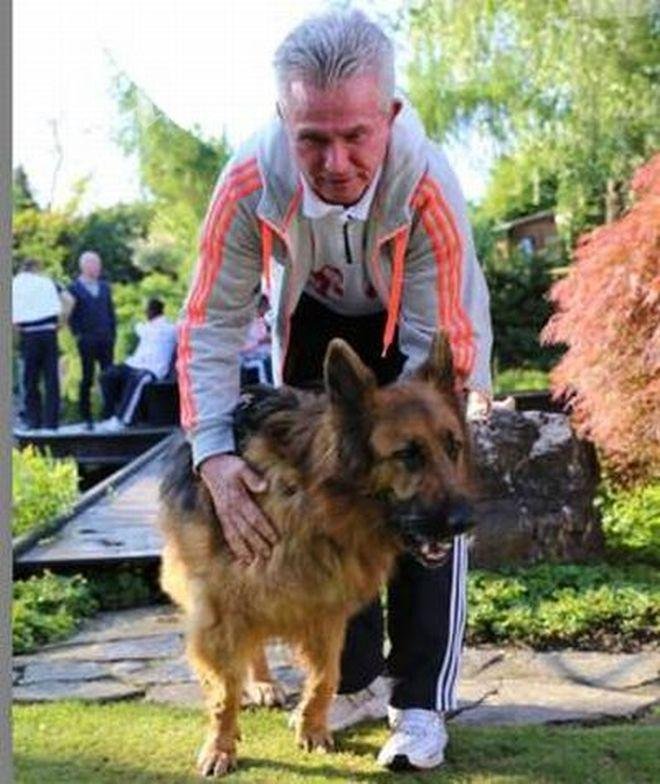 Юп Хайнкес отказа на Реал (Мадрид), отдава се на пълна почивка